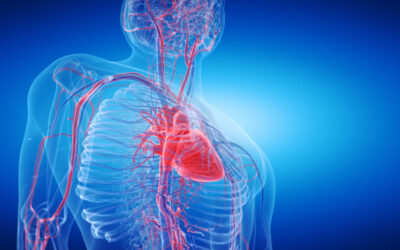 AGOSTO AZUL VERMELHO – CUIDE DA SUA SAÚDE VASCULAR